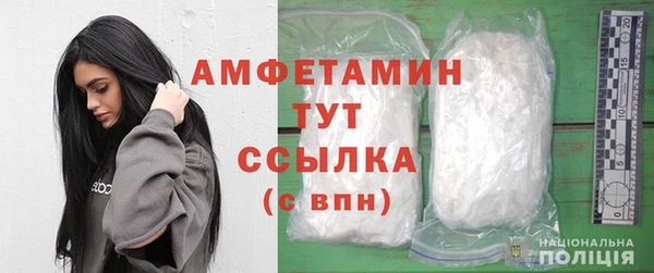 прущие грибы Горняк