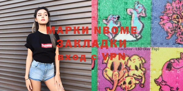 прущие грибы Вязники