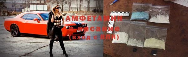 прущие грибы Вязники
