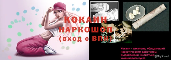 прущие грибы Вязники