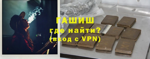 прущие грибы Горняк