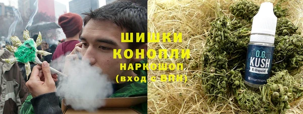 прущие грибы Вязники