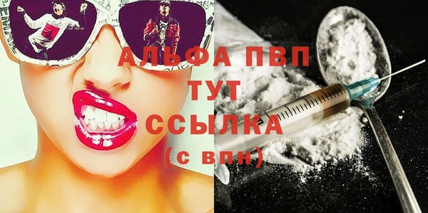 прущие грибы Вязники