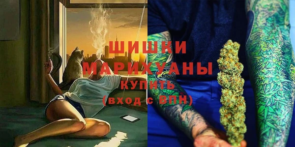 прущие грибы Горняк