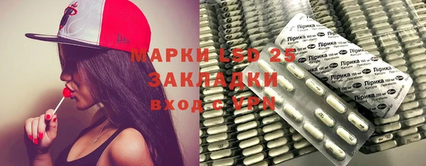 прущие грибы Вязники