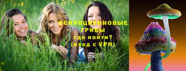 прущие грибы Вязники