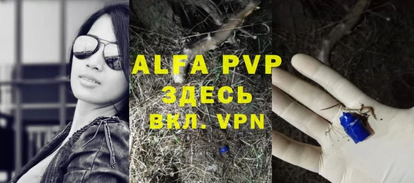 прущие грибы Вязники