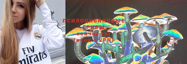 дмт Вязьма