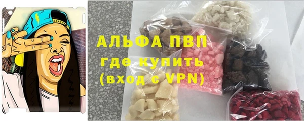 прущие грибы Вязники