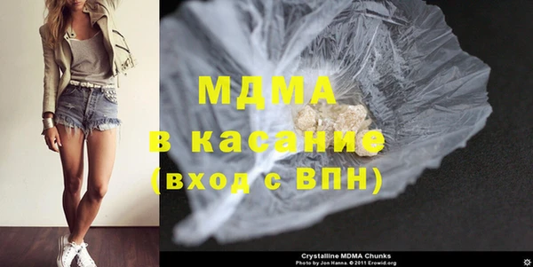 прущие грибы Горняк